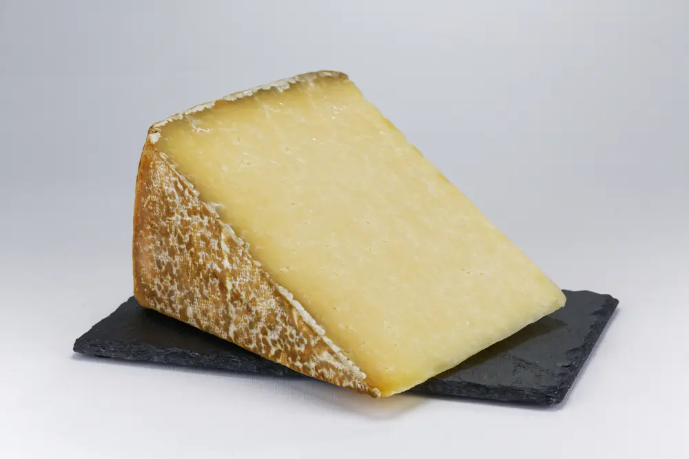 Cantal Cheese From France AnyCheese cantal-cheese-from-france-anycheese